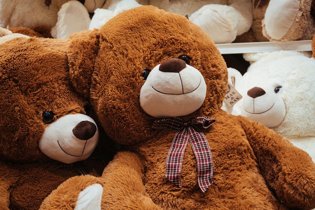 264/366 • Teddy Bears